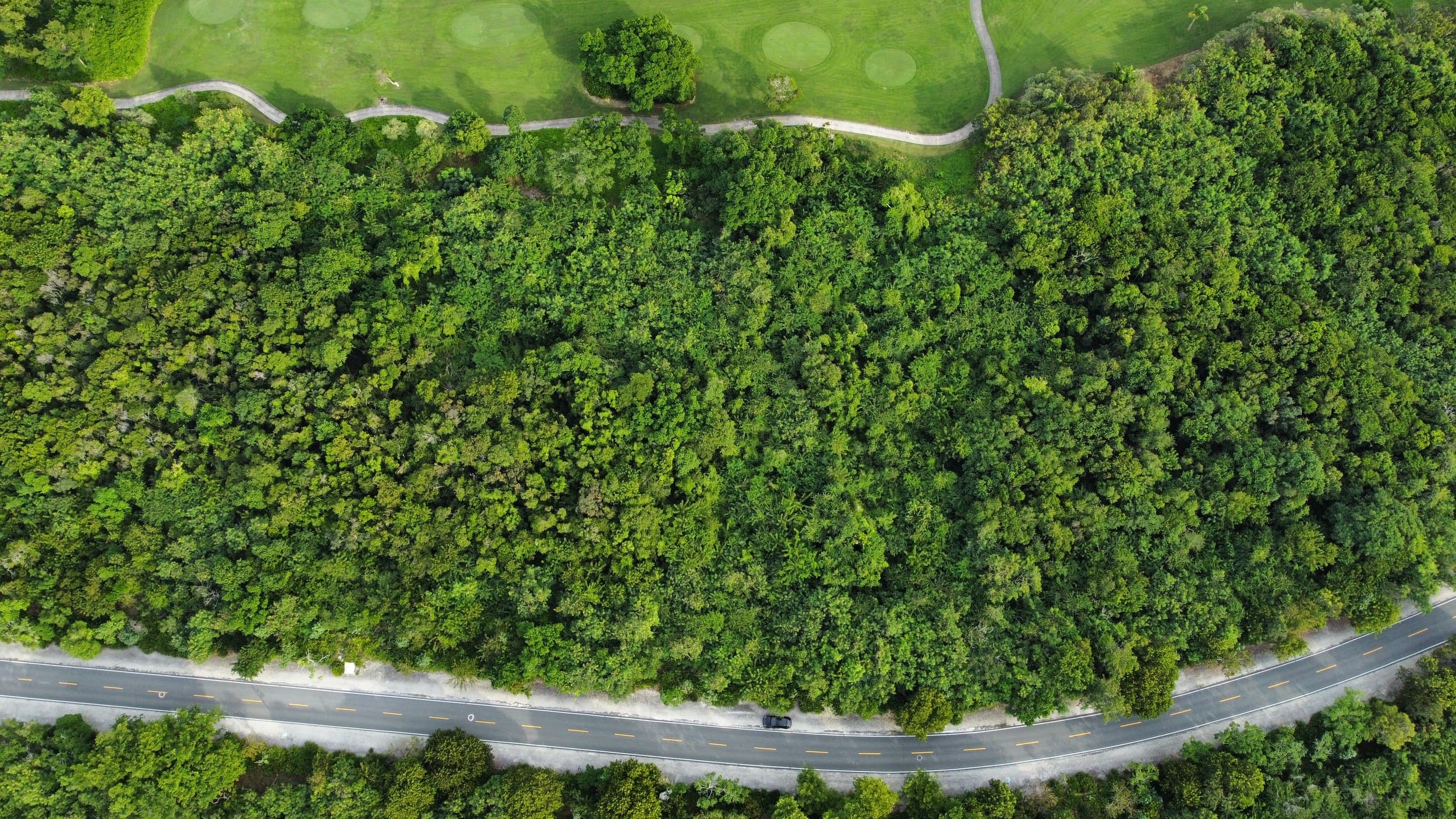 Corales Homesite 109 at Puntacana Resort & Club is pure potential. — photo 3